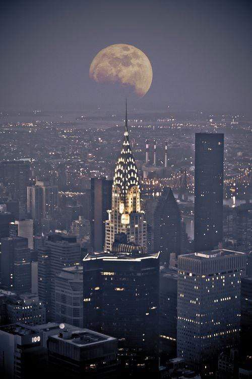 FLY ME TO THE MOON