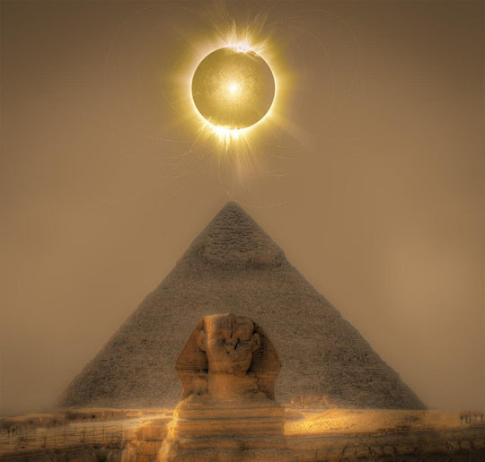 SEE THE LIGHT